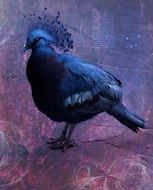 beautiful dove with blue plumage