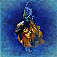 drawing of an unreal aquarium fish