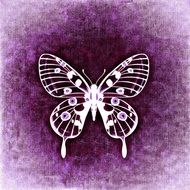 white silhouette of a butterfly on the purple background