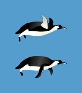 Penguins Flying as a drawing