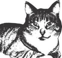 black and white portrait of a cat