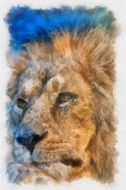 Lion Animals drawing