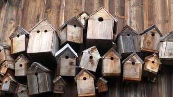 many birdhouses on the wall