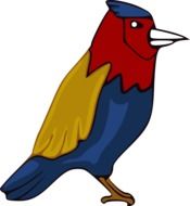 drawing of an exotic parrot