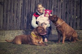 Dog Bordeaux and girls