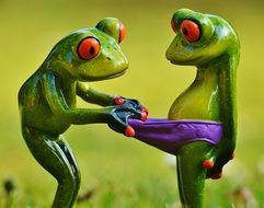 funny frogs in the grass