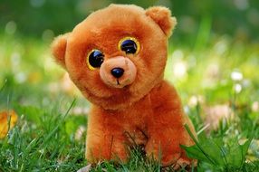 teddy bear with glitter eyes