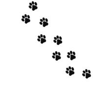 painted black dog tracks