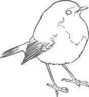 black and white drawing of a bird on a white background