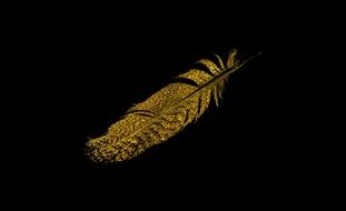 visual ornament Golden feather