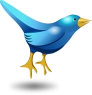 illustration of a twittering blue bird