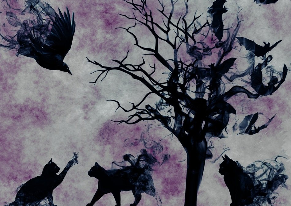 mystical drawing with the image of cats at colorful background