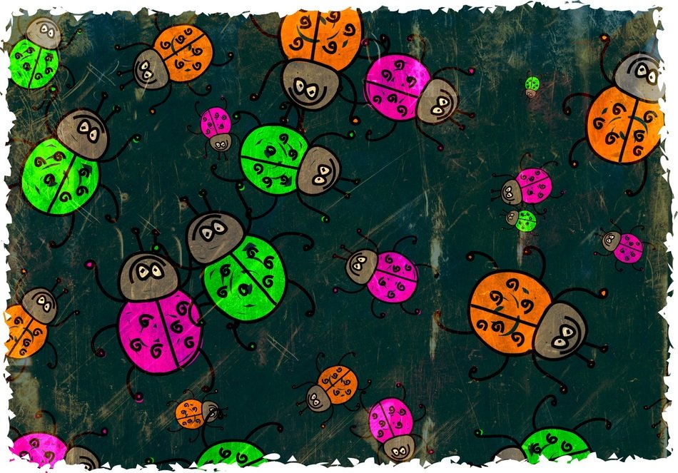 multicolored ladybugs on the wallpaper