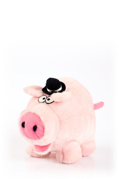 Plush pig Toy