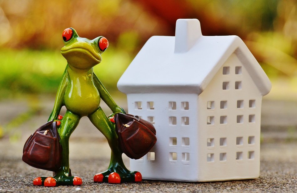 green frog with bags in hands near white house