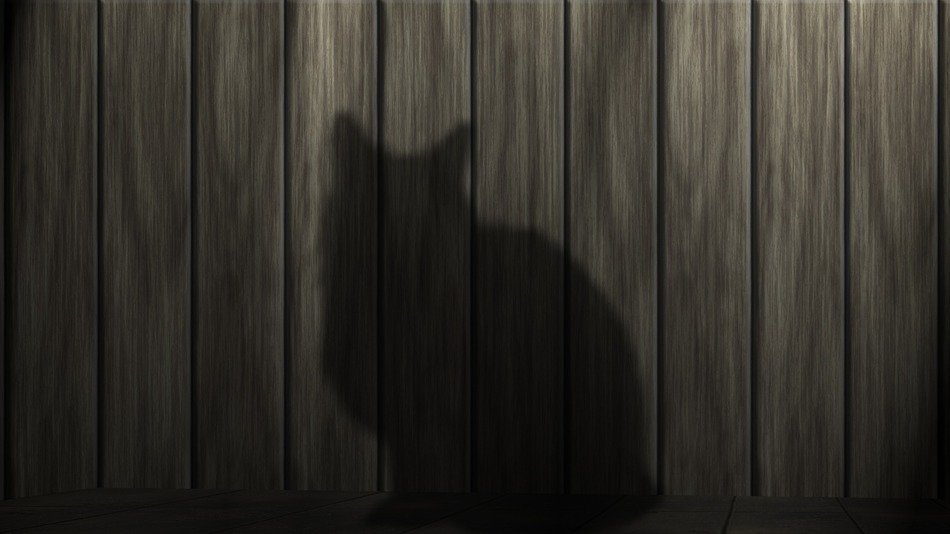 Silhouette of the cat