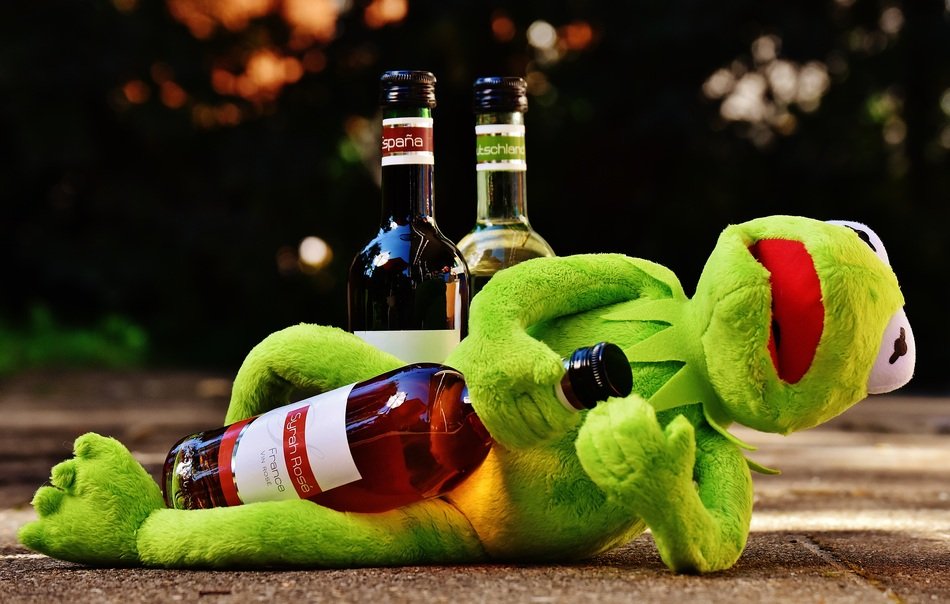 green frog lying on the ground with a bottle of wine