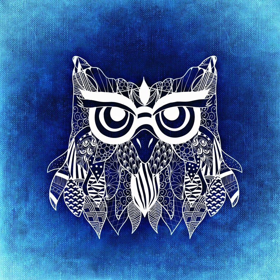 abstract image of owl on blue background