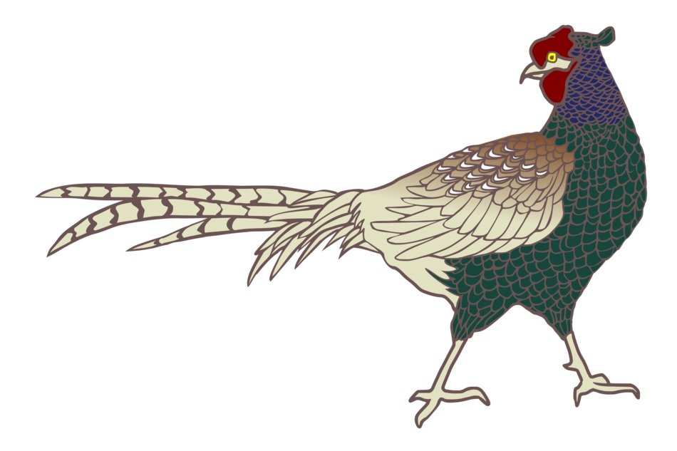 Pheasant in Japan clipart