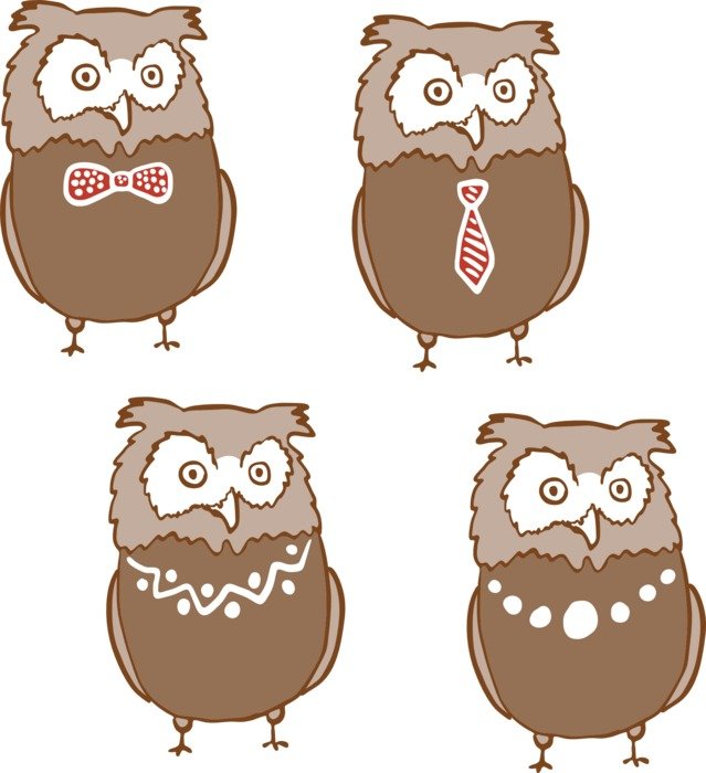 illustration of funny owl with different accessories