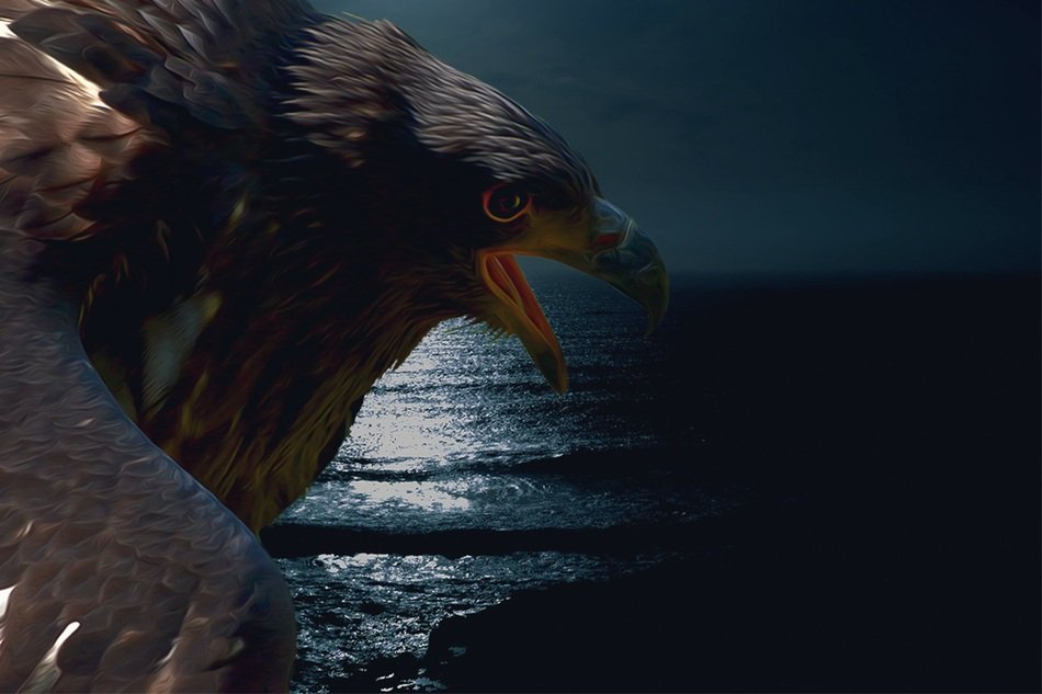 Adler with open beak at dusk