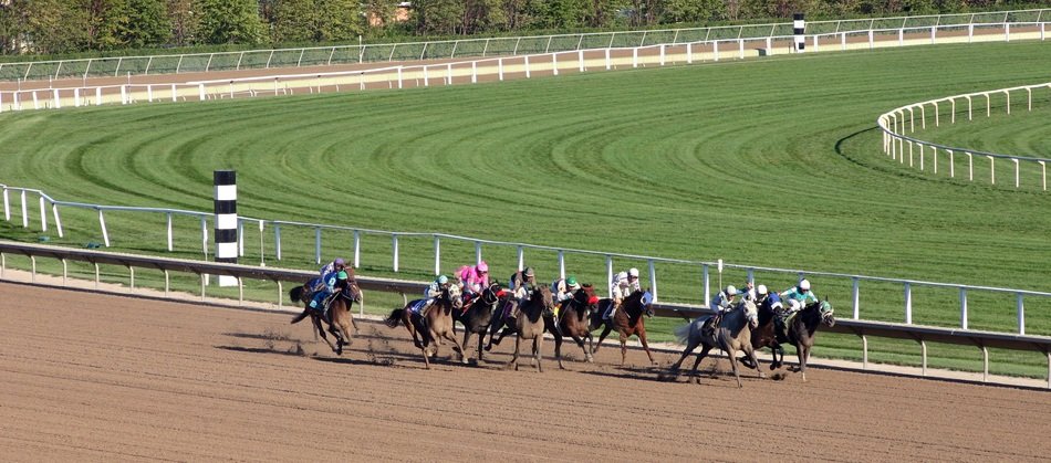horse racing in Arlington park