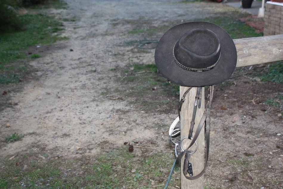 hat and a bridle on the pole