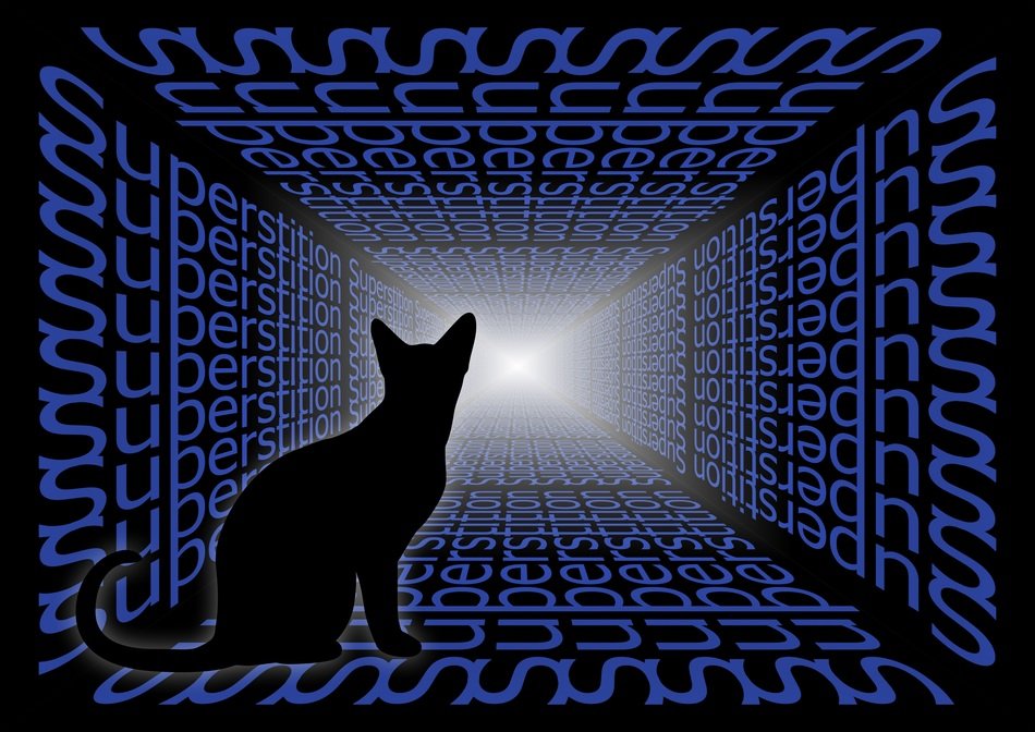 Cat Misfortune drawing