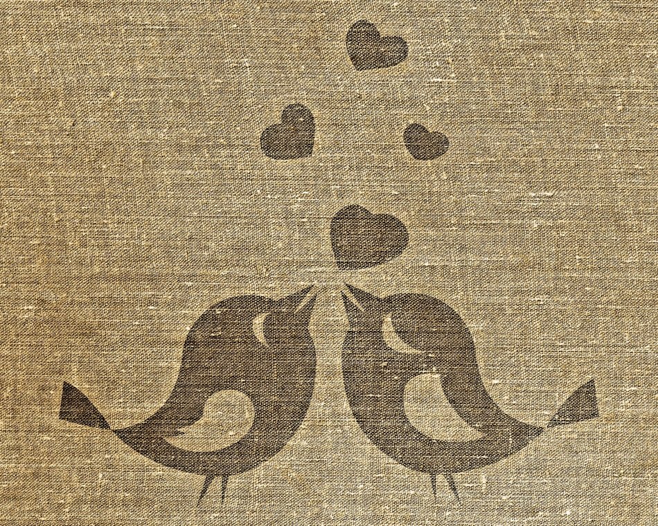 drawing of a pair of birds on the fabric
