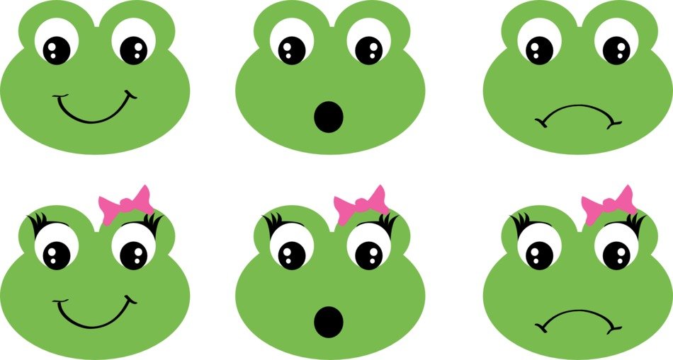 drawing of the Frog Faces