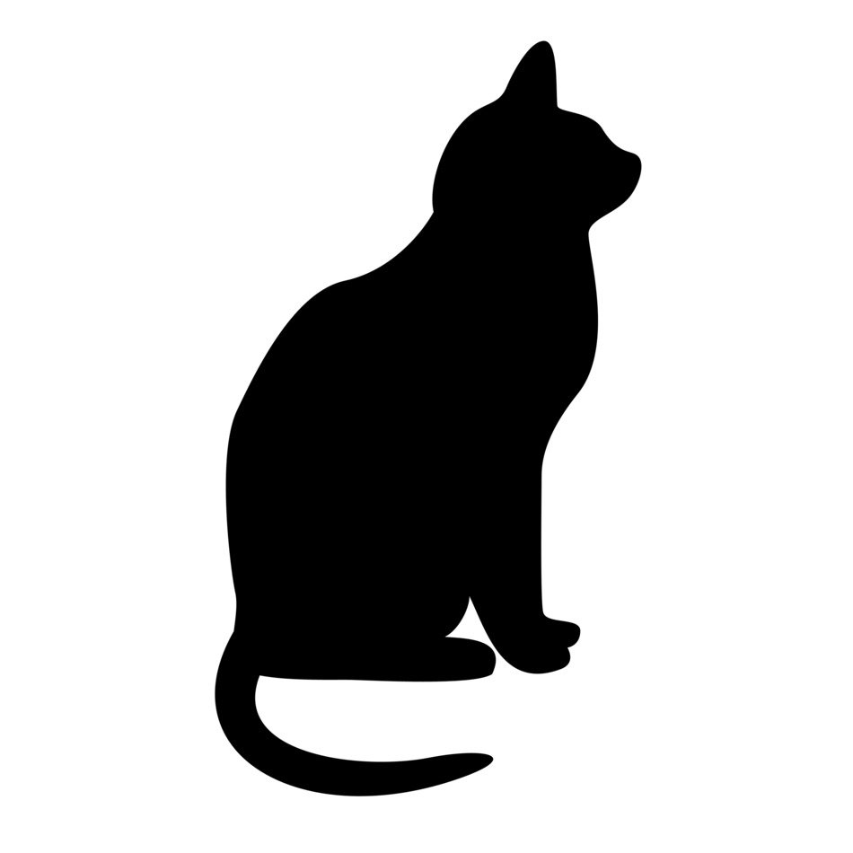 black cat silhouette on a white background