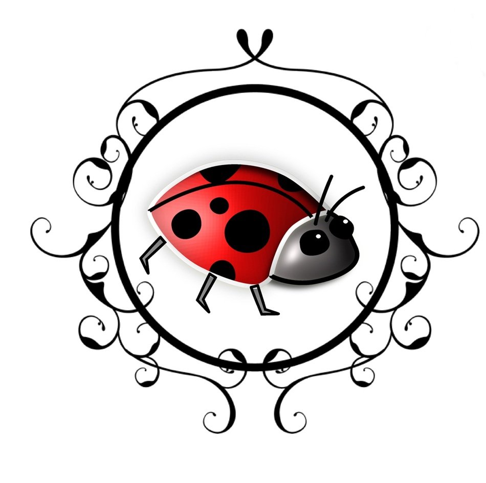 clipart of Framed ladybug