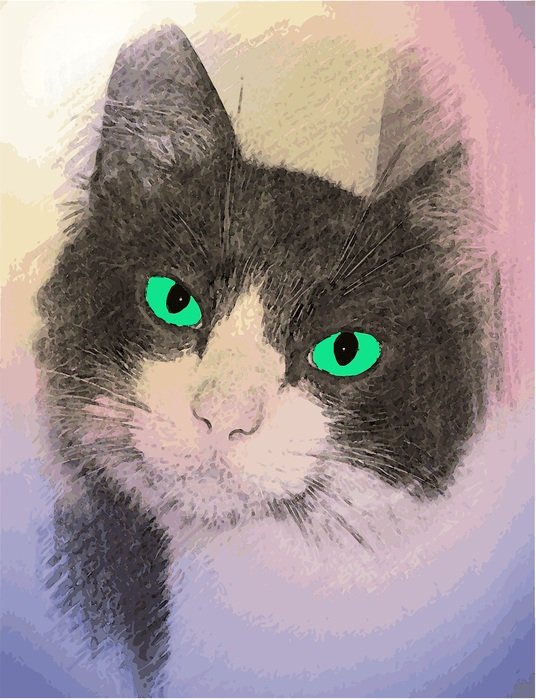 Cat with the green eyes as a clipart