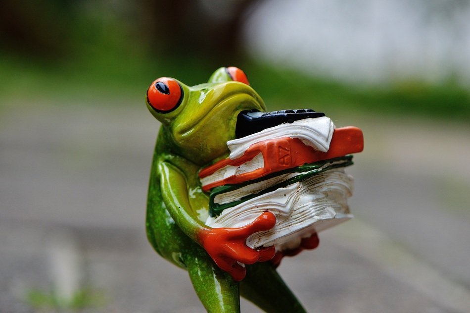 green frog works in the office