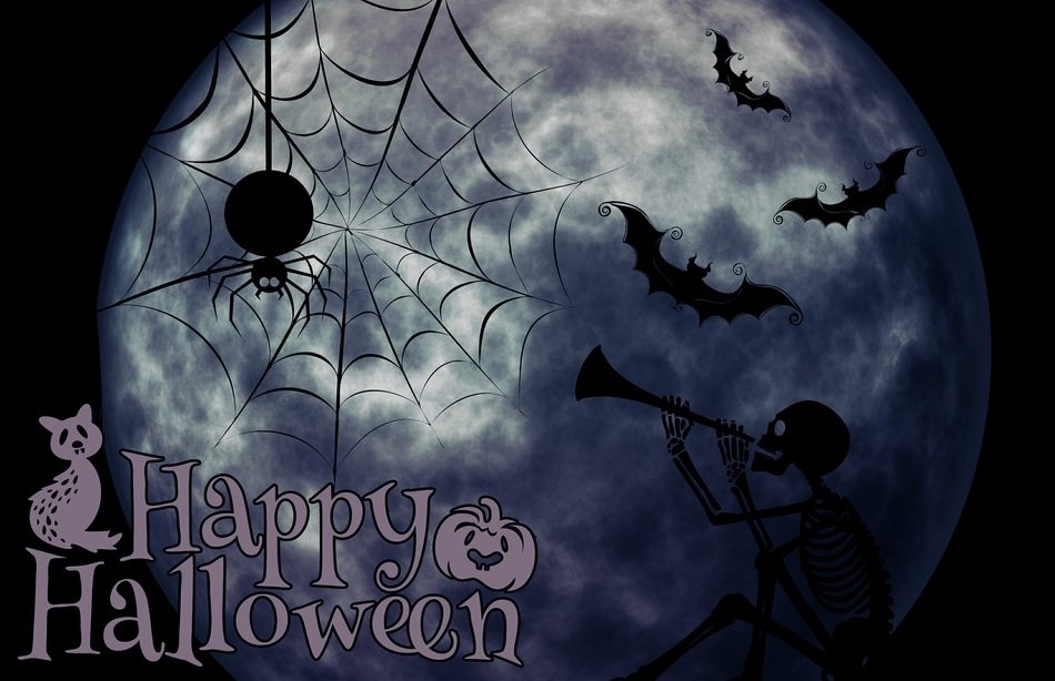 painted cobweb and bats on the background of the moon