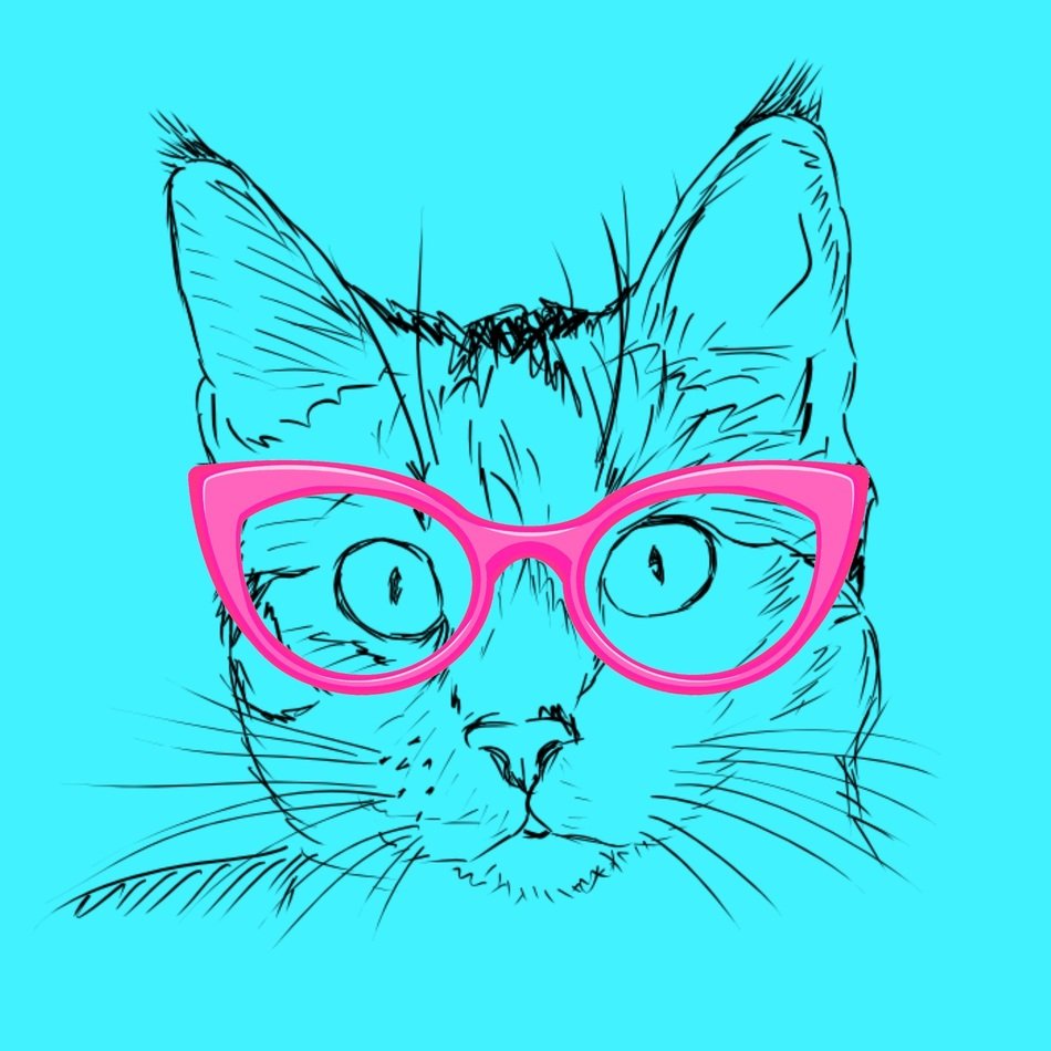 Blue Cat with pink glasses