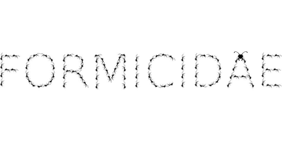 Formicidae text at white background