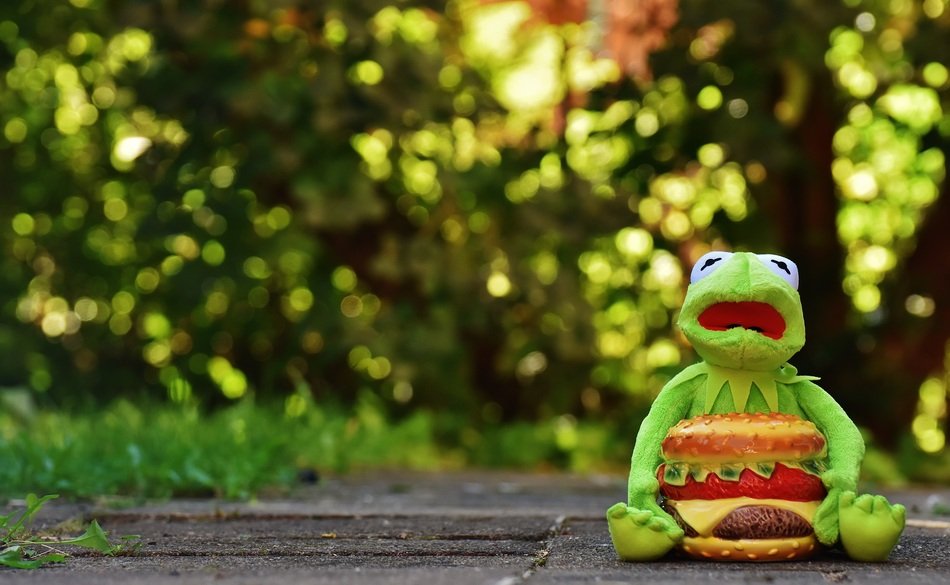 plush frog on a trail near the trees