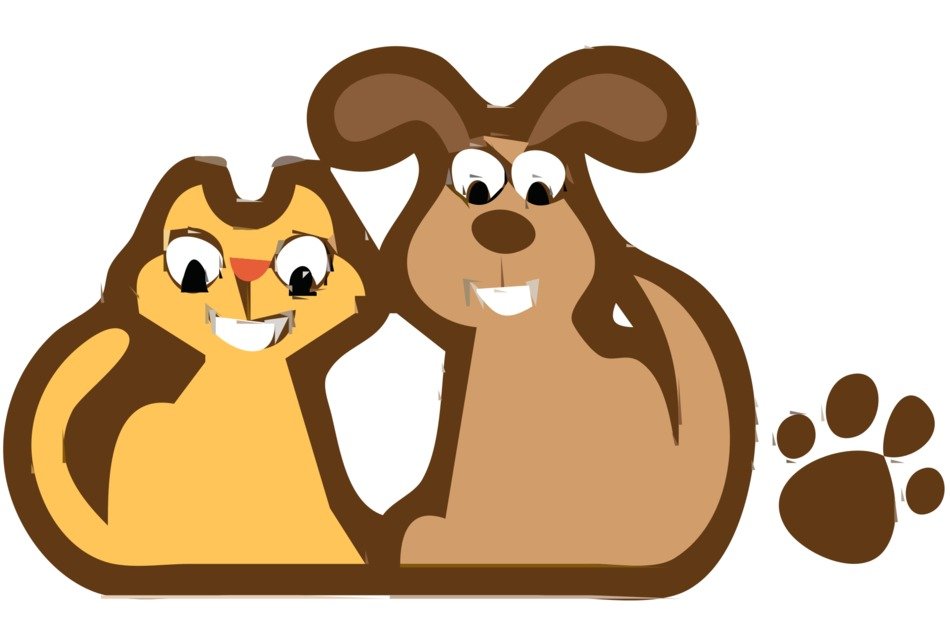 Brown dog and yellow cat
