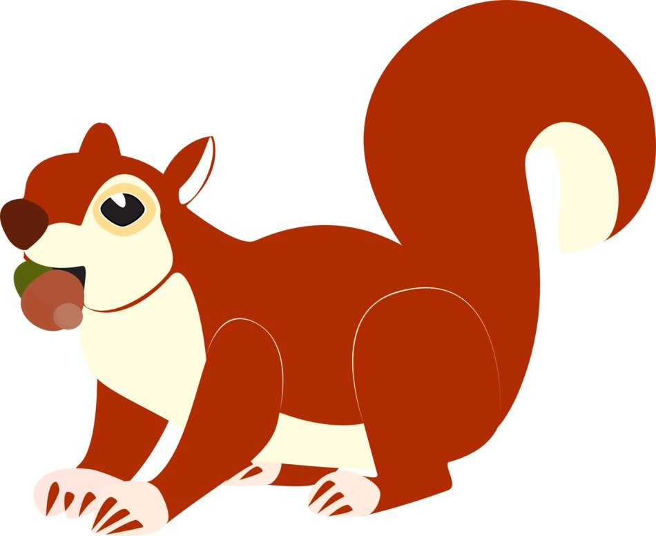 The squirrel clipart