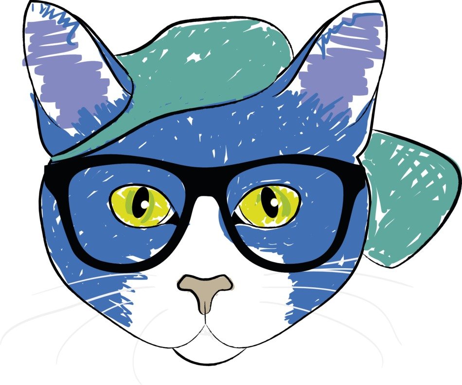 clipart of the muzzle of a smart cat