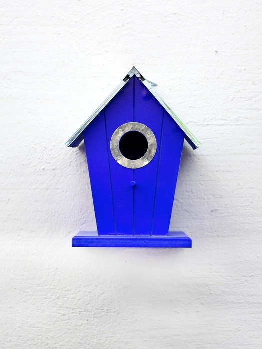 graphic image of a blue feeder for bird