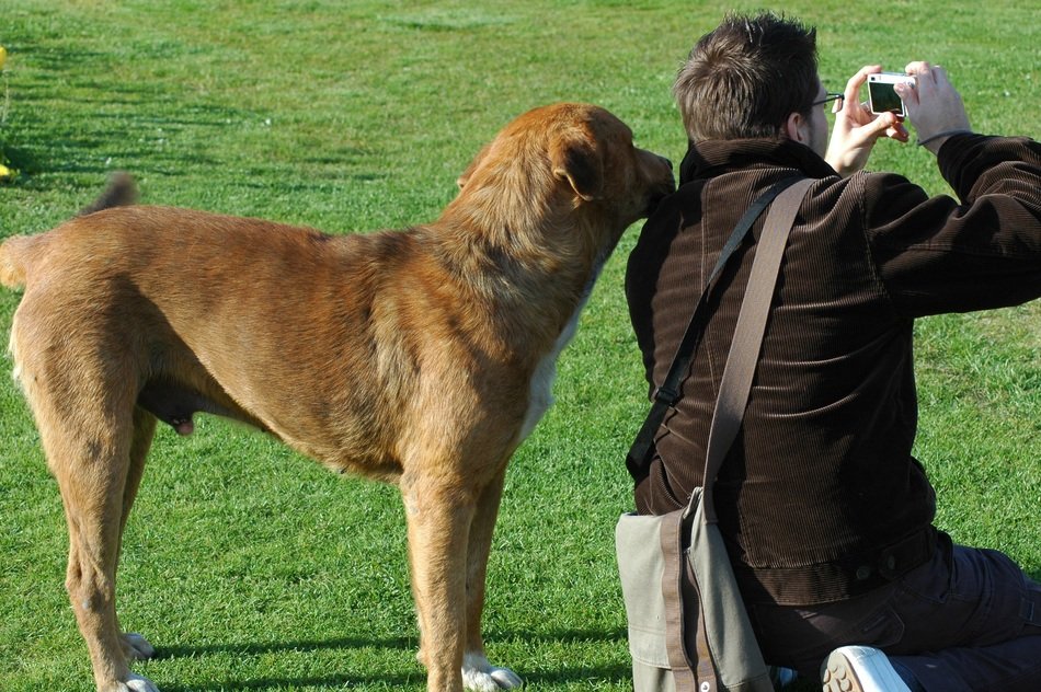 Photographer and Dog