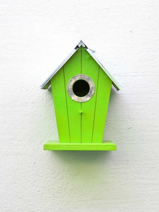 green birdhouse on the wall