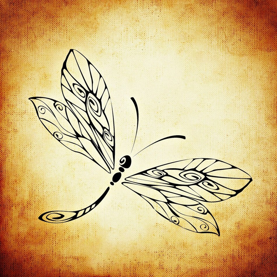 beautiful drawing of a dragonfly on the vintage paper