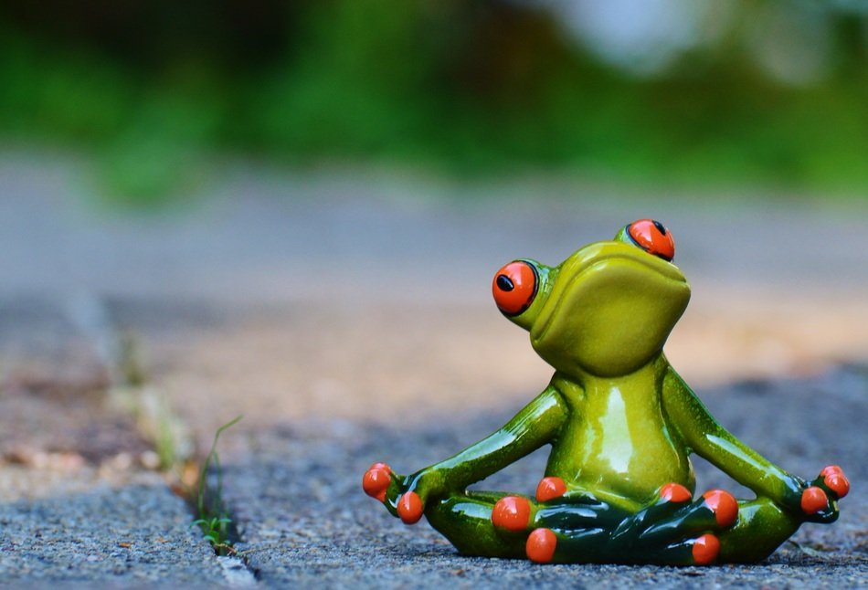 funny Yoga Frog Relaxed figure