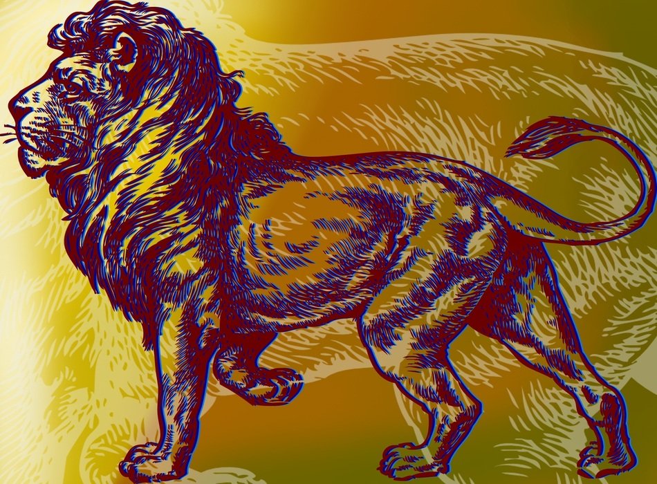 drawing of a lion on a brown background