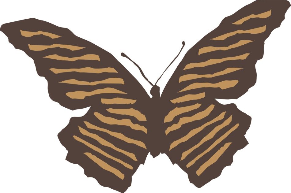 painted brown striped butterfly