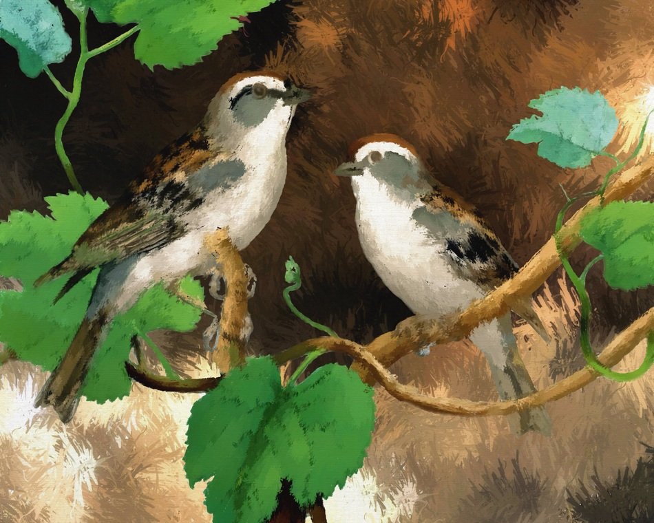 wild birds in the bush