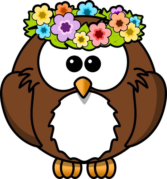 Owl Bird with Flowers drawing